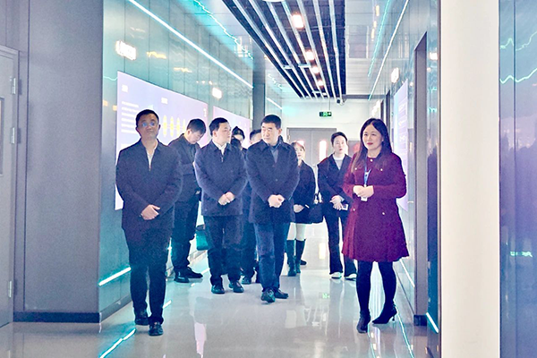 NLC电子(中国)集团
