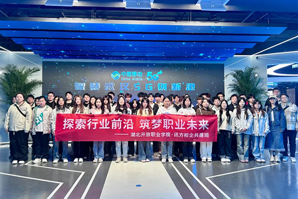 NLC电子(中国)集团