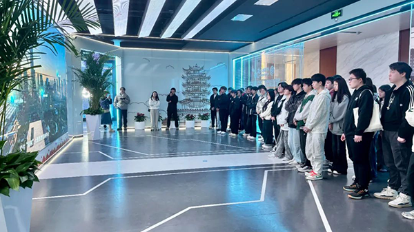 NLC电子(中国)集团