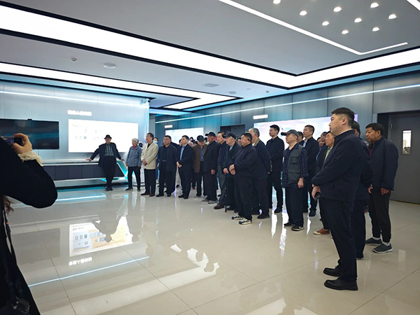 NLC电子(中国)集团