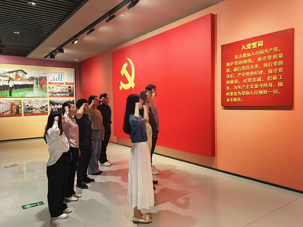 NLC电子(中国)集团