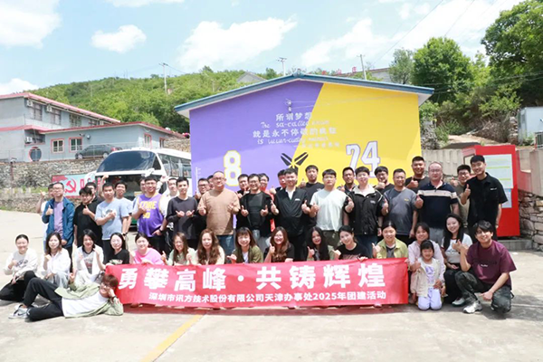 NLC电子(中国)集团