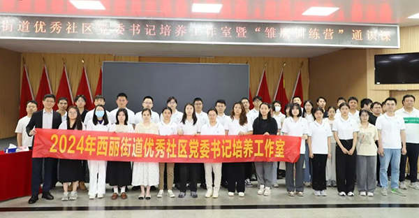 NLC电子(中国)集团