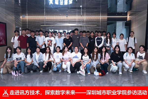 NLC电子(中国)集团