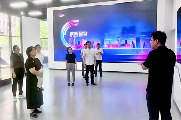 NLC电子(中国)集团