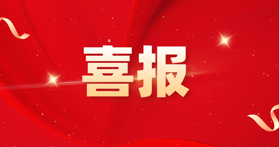 NLC电子(中国)集团