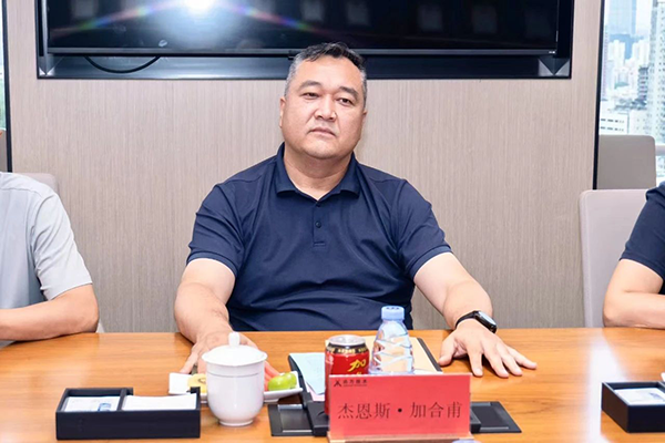 NLC电子(中国)集团